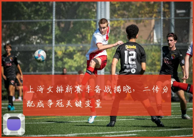 上海女排新赛季备战揭晓，二传分配成争冠关键变量