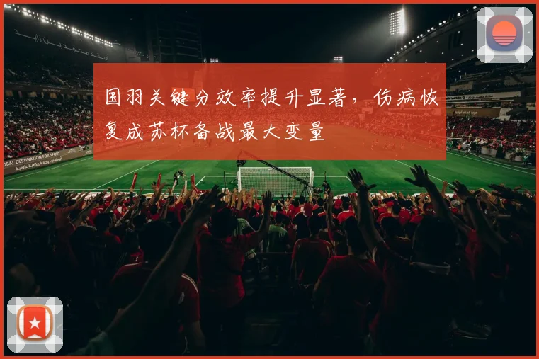 国羽关键分效率提升显著，伤病恢复成苏杯备战最大变量